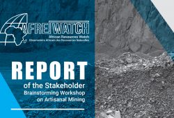 Rapport de l’atelier de réflexion des parties prenantes organisé à Kolwezi