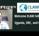 Welcome ELAW Fellows ﻿from Uganda, DRC, and Guinea
