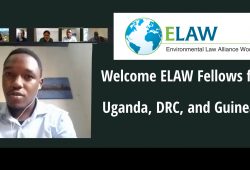 Welcome ELAW Fellows ﻿from Uganda, DRC, and Guinea