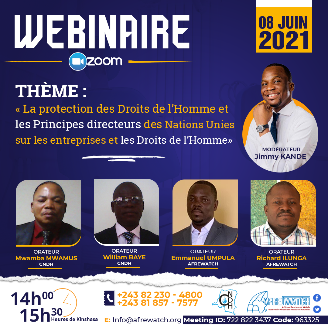 WEBINAIRE-Thème :  « La protection des Droits de l’Homme et les Principes directeurs des Nations Unies sur les entreprises et les Droits de l’Homme»