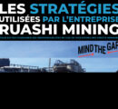 Les Stratégies utilisées par l’entreprise Ruashi Mining