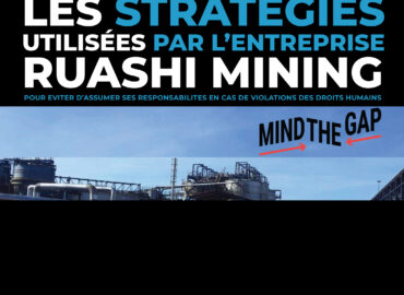 Les Stratégies utilisées par l’entreprise Ruashi Mining