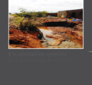 L’exploitation minière de l’entreprise CONGO DONGFANG INTERNATIONAL MINING  (CDM) et ses impacts sur l’environnement et la santé des communautés, des quartiers Kasapa, Kamatete et Kamisepe
