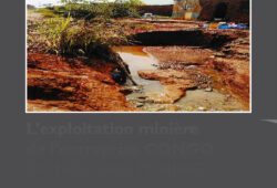 L’exploitation minière de l’entreprise CONGO DONGFANG INTERNATIONAL MINING  (CDM) et ses impacts sur l’environnement et la santé des communautés, des quartiers Kasapa, Kamatete et Kamisepe