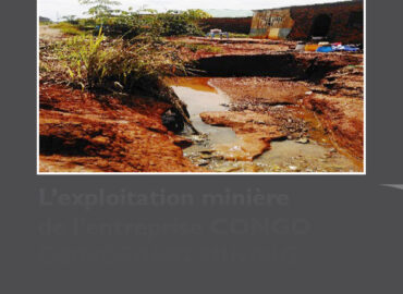 L’exploitation minière de l’entreprise CONGO DONGFANG INTERNATIONAL MINING  (CDM) et ses impacts sur l’environnement et la santé des communautés, des quartiers Kasapa, Kamatete et Kamisepe