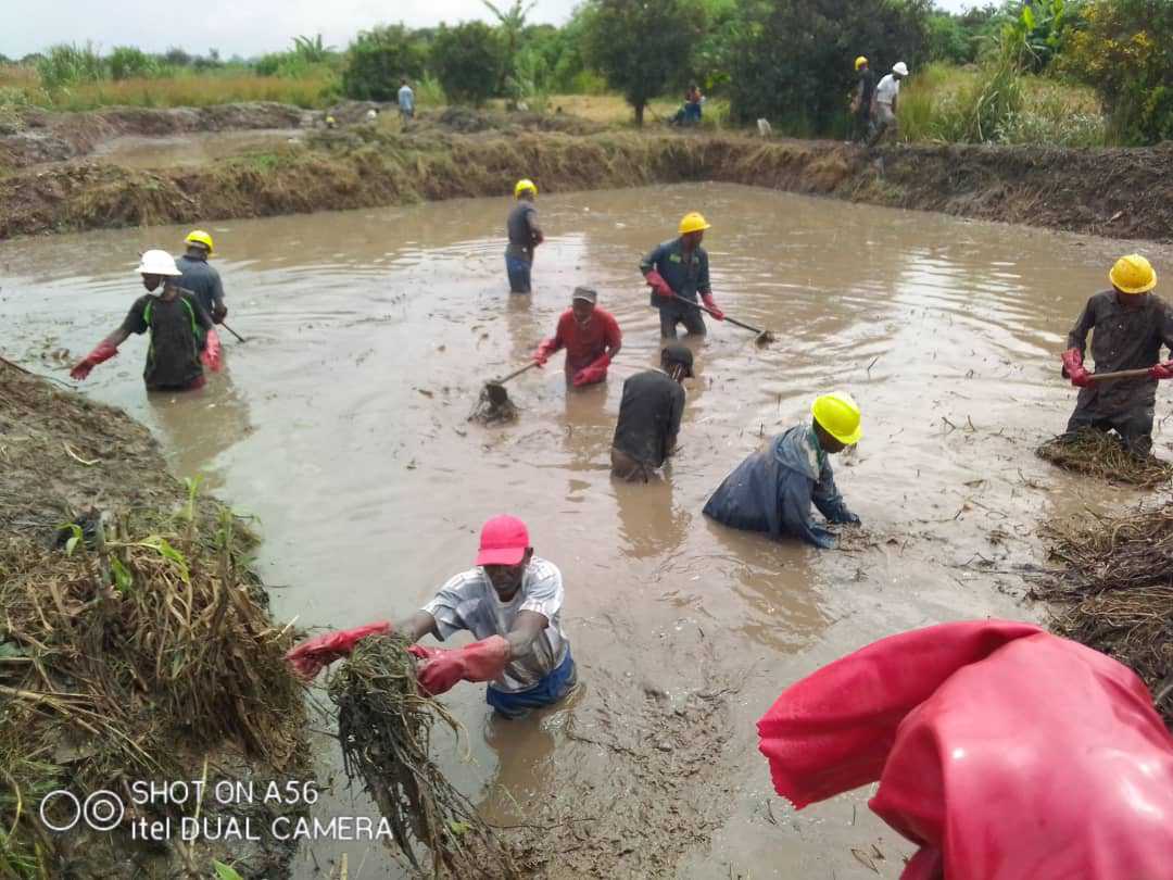 Pisciculture : réhabilitation des étangs détruits dans les cours d’eau du Lualaba