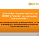Explication des Principes directeurs de l’OCDE et des Points de contact nationaux