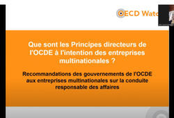 Explication des Principes directeurs de l’OCDE et des Points de contact nationaux
