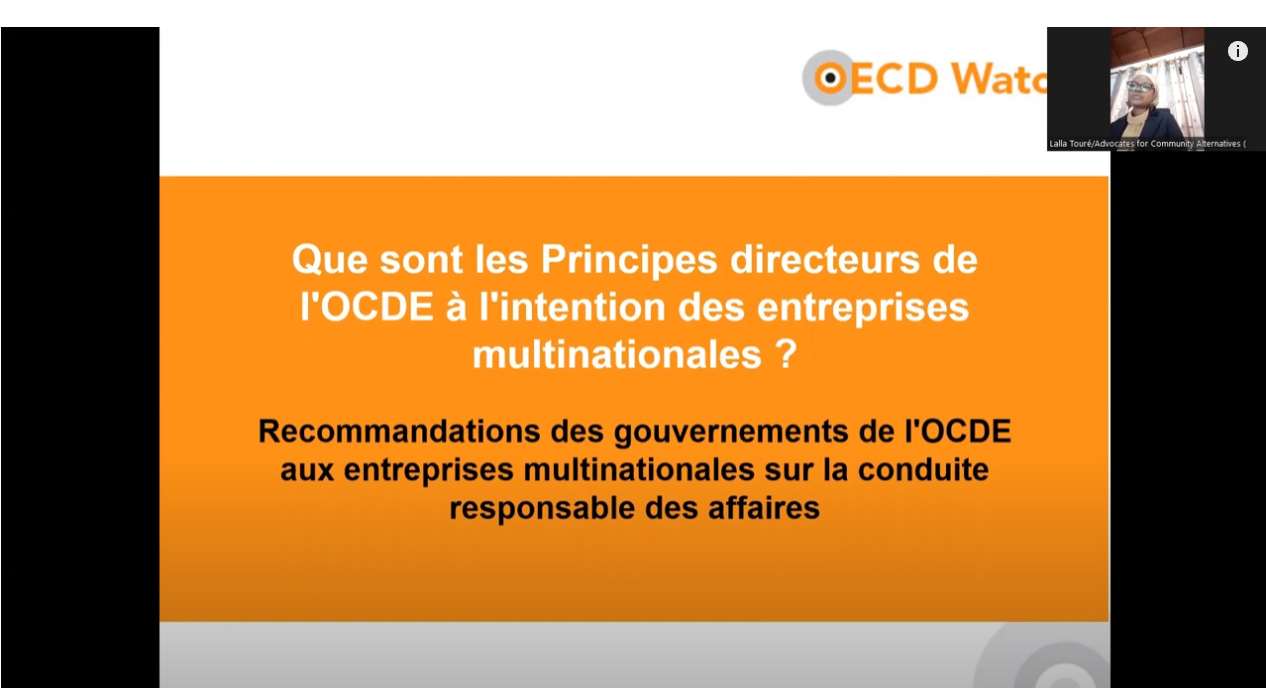 Explication Des Principes Directeurs De L'OCDE Et Des Points De Contact ...