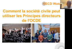 Comment les organisations de la société civile peuvent utiliser les lignes directrices de l’OCDE