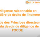 Explication des lignes directrices de l’OCDE en matière de diligence raisonnable par Emmanuel