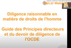 Explication des lignes directrices de l’OCDE en matière de diligence raisonnable par Emmanuel