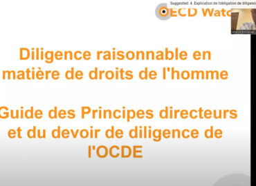 Explication des lignes directrices de l’OCDE en matière de diligence raisonnable par Emmanuel