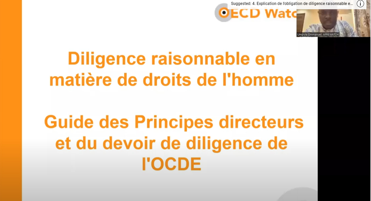 Explication des lignes directrices de l’OCDE en matière de diligence raisonnable par Emmanuel