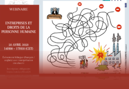 WEBINAIRE-NTREPRISES ET DROITS DE LA PERSONNE HUMAINE
