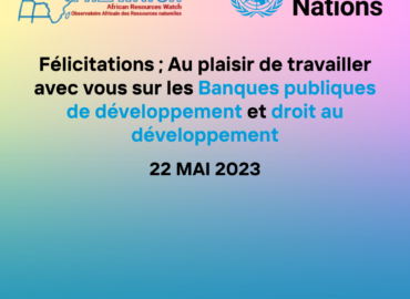 Nouveau rôle de rapporteur spécial des Nations Unies sur le droit au développement et mobilisation des banques publiques de développement pour faire progresser le droit au développement.