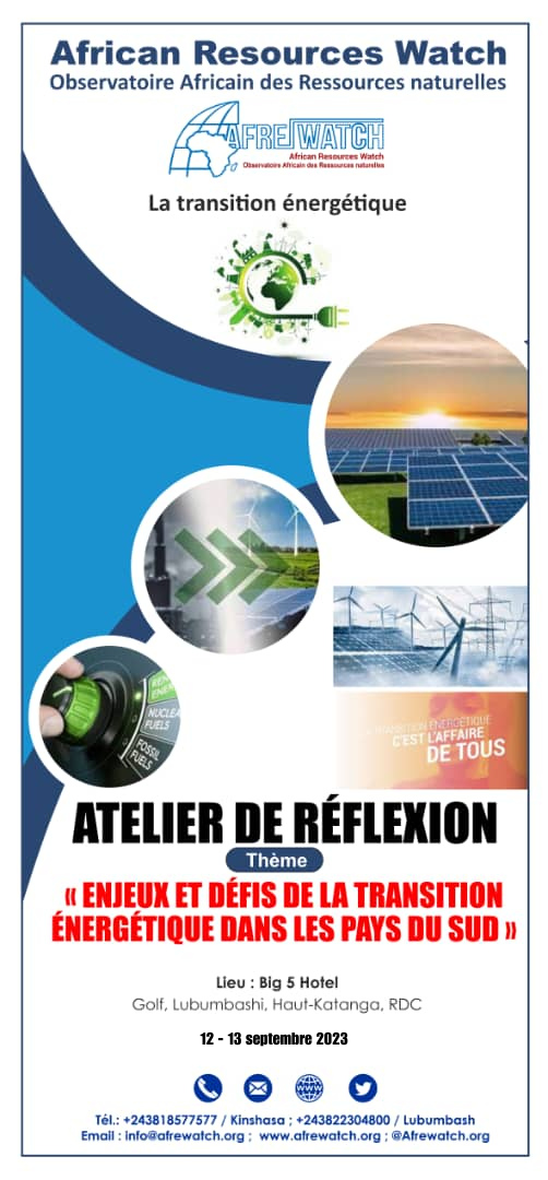 Atelier de réflexion des experts et parties prenantes sur les ” Enjeux et défis de la transition énergétique dans les pays du Sud ”