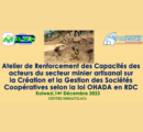 Atelier de renforcement des capacités des acteurs du secteur minier artisanal sur la création et la gestion des sociétés coopératives selon la loi OHADA en RDC