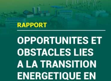 OPPORTUNITÉS ET OBSTACLES LIÉS A LA TRANSITION ÉNERGÉTIQUE EN AFRIQUE