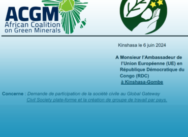 Demande de participation de la société civile au Global Gateway Civil Society plate-forme et la création de groupe de travail par pays.