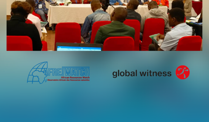 Les opportunités et obstacles de la transition énergétique dans les pays du sud.