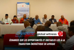Échanges sur les opportunités et obstacles liés à la transition énergétique en Afrique