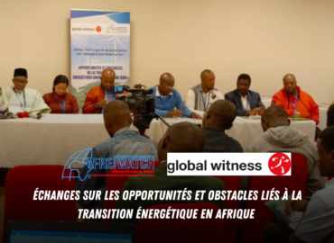 Échanges sur les opportunités et obstacles liés à la transition énergétique en Afrique