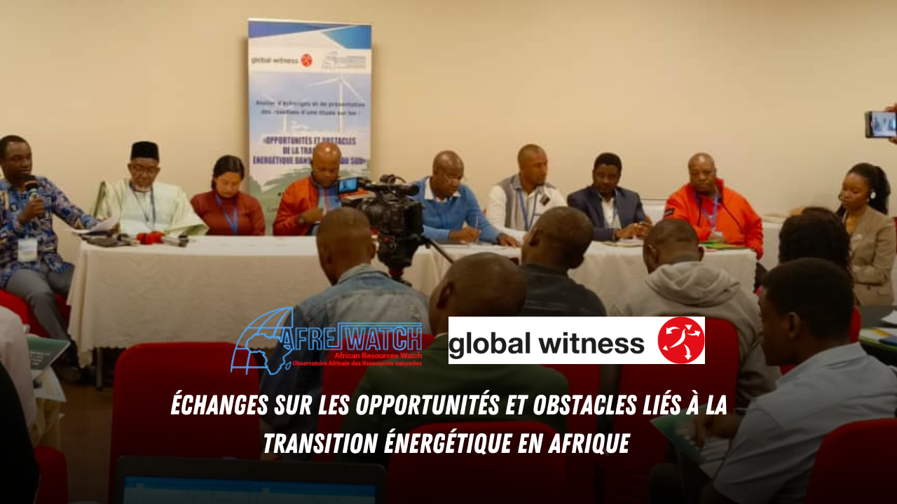 Échanges sur les opportunités et obstacles liés à la transition énergétique en Afrique
