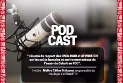 Résumé du rapport sur les coûts humains et environnementaux de l’essor du cobalt en RDC – AFREWATCH et RAID.