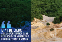 État de lieux de la déforestation dans les provinces minières de Lualaba et Haut-Katanga : Cas des zones d’exploitation minière situées dans l’arc cuprifère katangais.