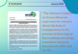 Press Release N1 2025