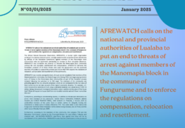 Press Release N°03 / 2025