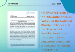 Press release N°8 2025