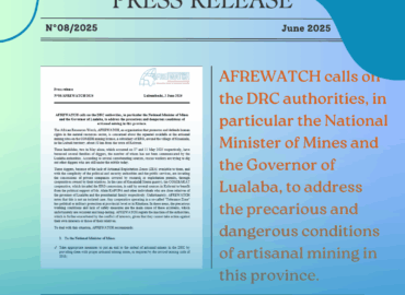 Press release N°8 2025