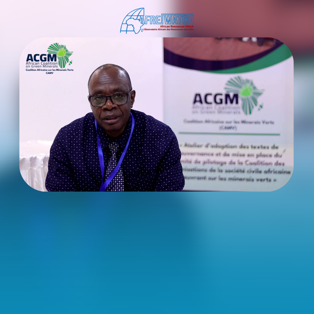 Atelier de la Coalition Africaine sur les Minerais  Verts (CAMV) – Lubumbashi 2025