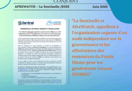 COMMUNIQUE DE PRESSE CONJOINT N°02