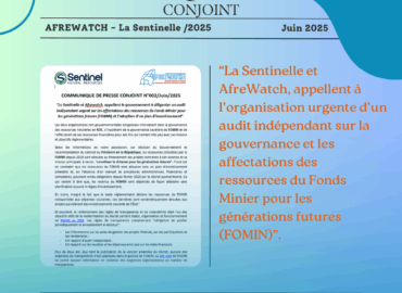 COMMUNIQUE DE PRESSE CONJOINT N°02