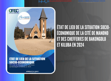 État de lieu de la situation socio-économique de la cité de Manono et des chefferies de Bakongolo et Kiluba en 2024 / AFREWATCH – OMGC
