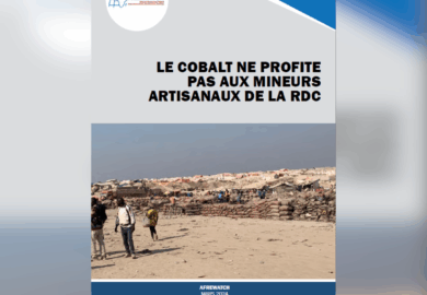 NO PROFITS FOR ARTISANAL COBALT MINERS IN THE DRC