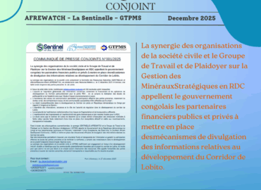 COMMUNIQUÉ DE PRESSE CONJOINTS N°001/2025