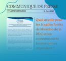 Quel avenir pour les fragiles forêts de Miombo de la RDC et les communautés locales qui en dépendent ?