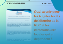 Quel avenir pour les fragiles forêts de Miombo de la RDC et les communautés locales qui en dépendent ?