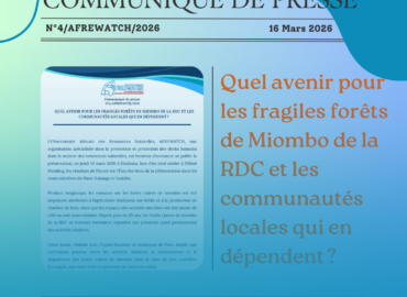 Quel avenir pour les fragiles forêts de Miombo de la RDC et les communautés locales qui en dépendent ?