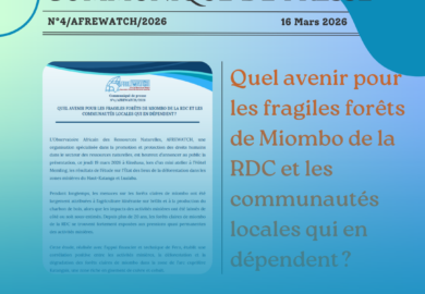Quel avenir pour les fragiles forêts de Miombo de la RDC et les communautés locales qui en dépendent ?