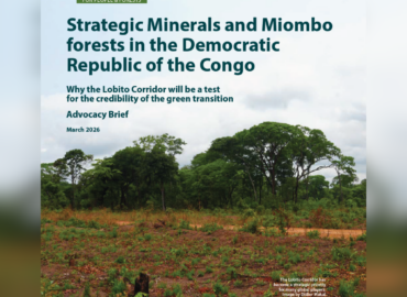 Strategic Minerals and Miombo forests in the Democratic Republic of the Congo