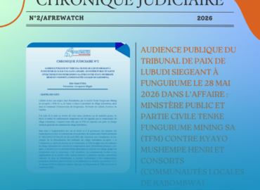 CHRONIQUE JUDICIAIRE N°2 : Audience publique du tribunal de paix de Lubudi siegeant à Fungurume le 28 mai 2026 dans l’affaire : Ministère public et partie civile Tenke Fungurume Mining SA (TFM) contre Kyayo Mushempe Henri et consorts (communautés locales de Kabombwa)