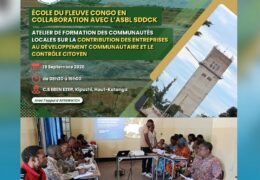 atelier de renforcement des capacités des communautés locales impactées par l’exploitation du zinc à Kipushi – EFC & ONG S.D.D.C.K
