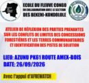 Atelier de réflexion consacré aux conflits de limites entre les concessions forestières et les terres des peuples autochtones.