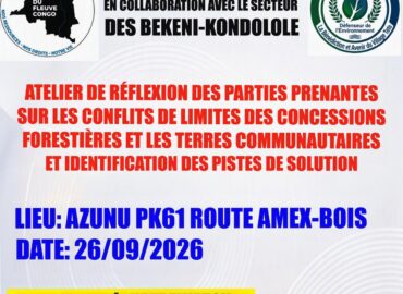 Atelier de réflexion consacré aux conflits de limites entre les concessions forestières et les terres des peuples autochtones.