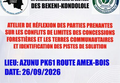 Atelier de réflexion consacré aux conflits de limites entre les concessions forestières et les terres des peuples autochtones.
